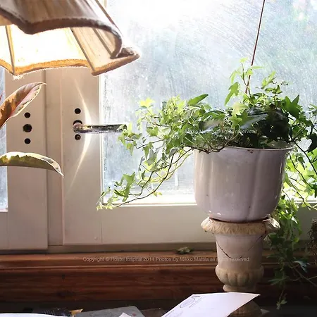 Eco Inspiral ホステル ヘルシンキ
